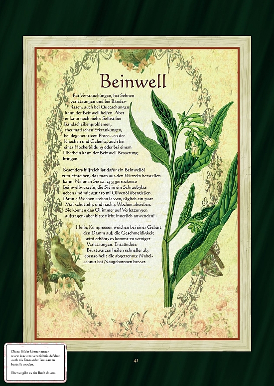 Beinwell