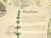 Basilikum