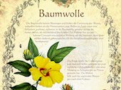 Baumwolle