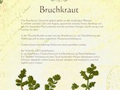 Bruchkraut