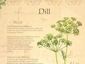 Dill