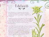 Edelweiss