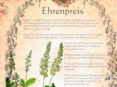 Ehrenpreis