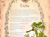 Eiche