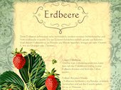 Erdbeere