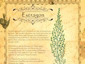 Estragon