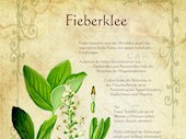Fieberklee