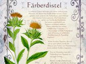Färberdistel