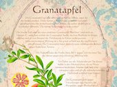 Granatapfel