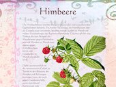 Himbeere1