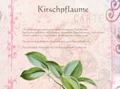 Kirschpflaume
