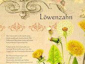Löwenzahn128dpi
