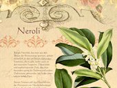 Neroli