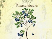 Rauschbeere