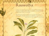 Rauwolfia