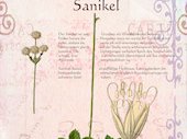 Sanikel
