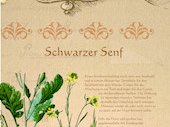 SchwarzerSenf