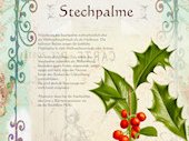 Stechpalme