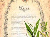 Weide