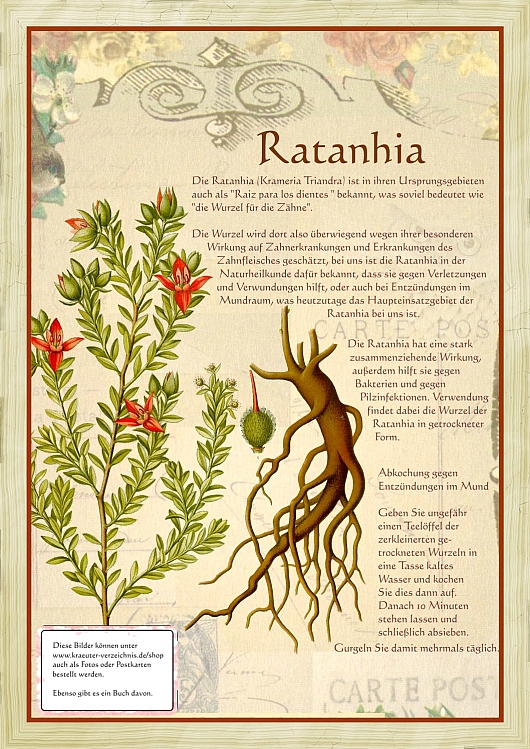 Ratanhia