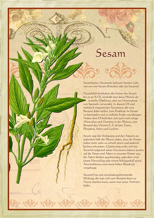 Sesam