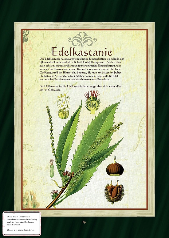 Edelkastanie