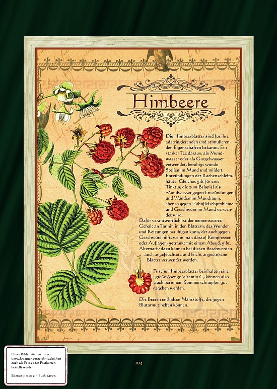 Himbeere