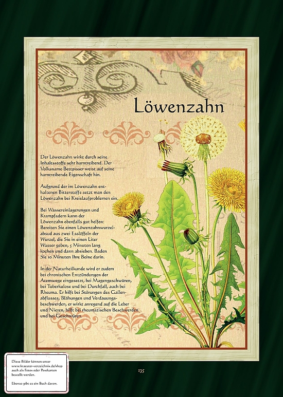 Löwenzahn