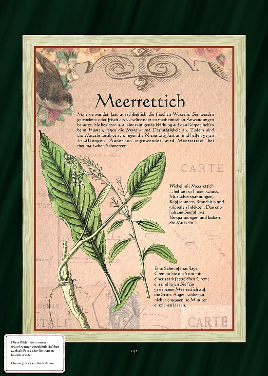 Meerrettich