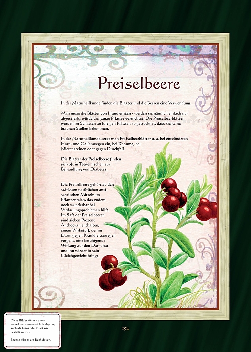Preiselbeere