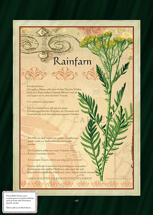 Rainfarn