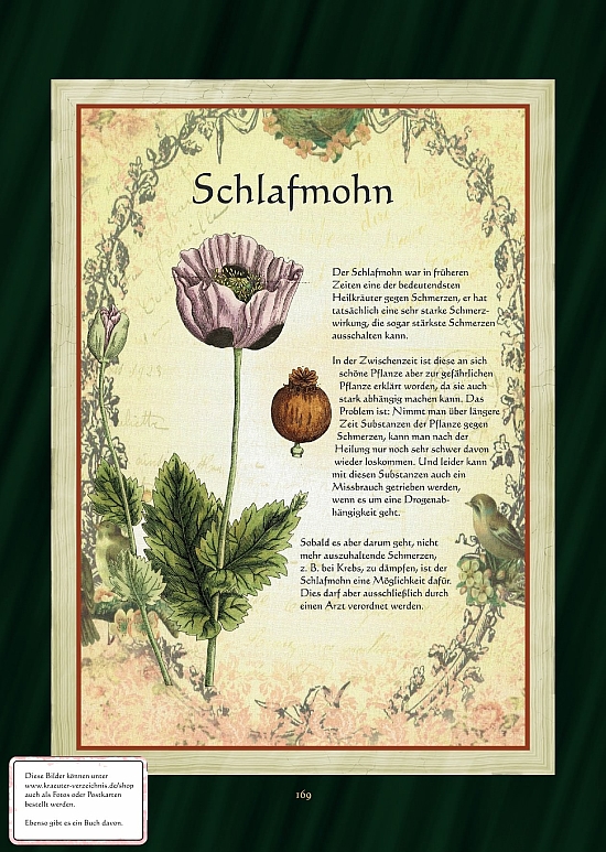 Schlafmohn