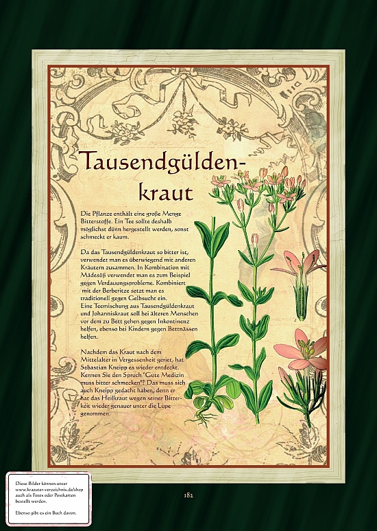 Tausendgüldenkraut