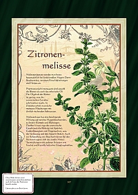 Die Melisse