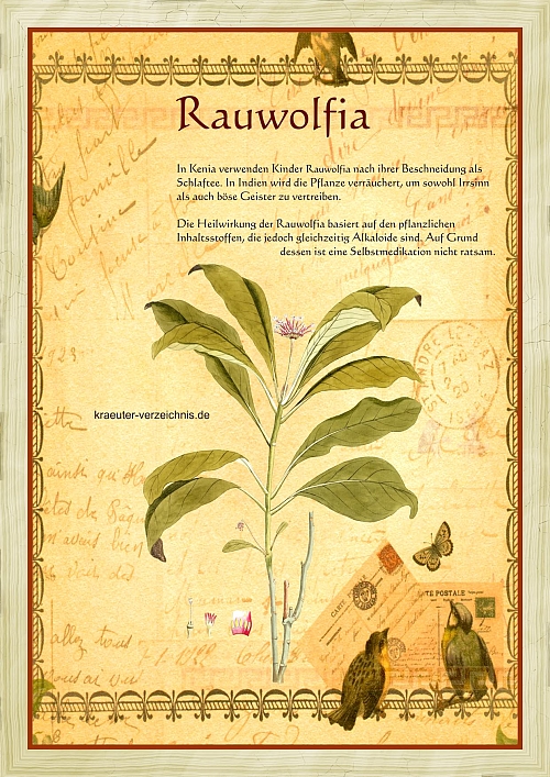 Rauwolfia